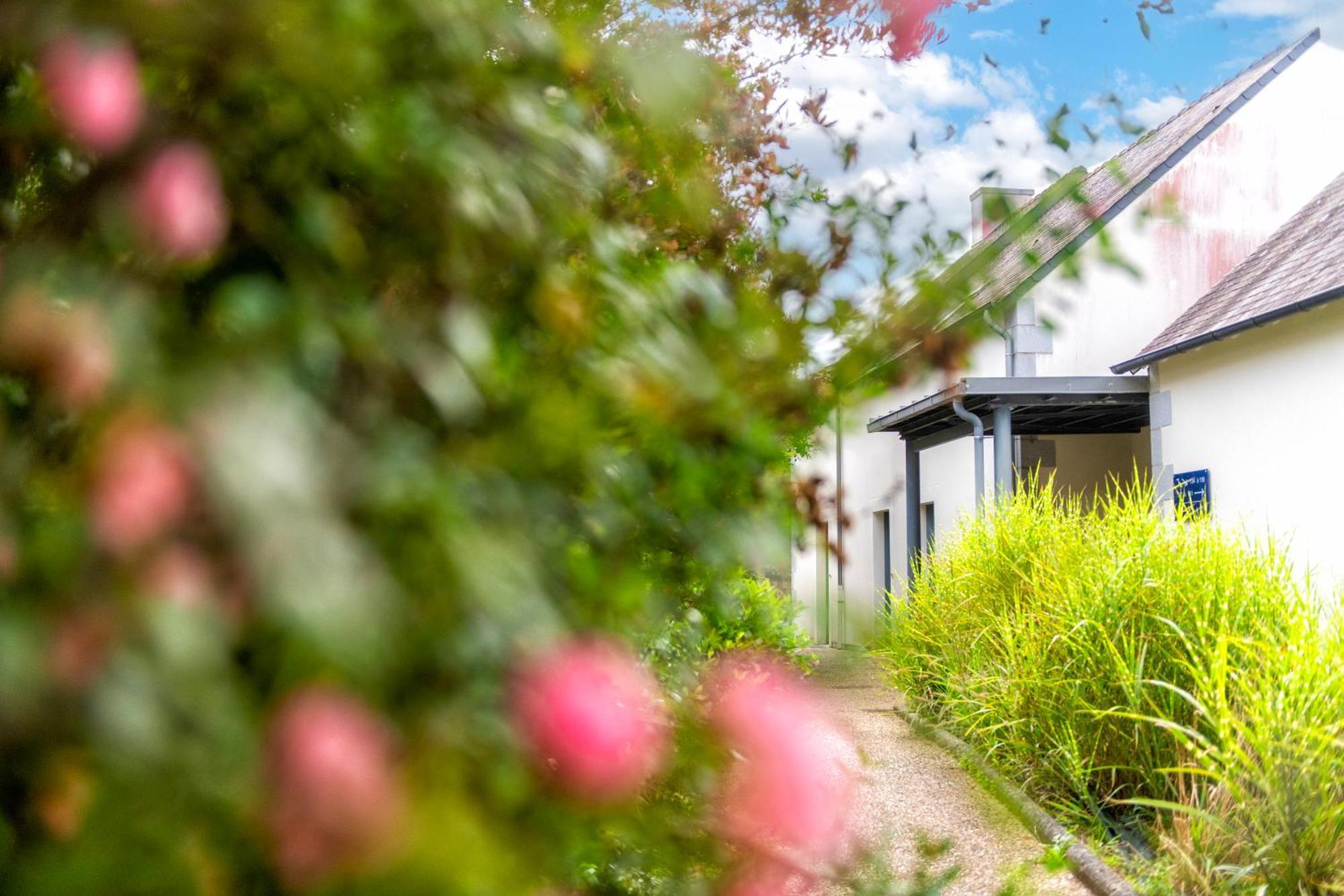 Residence Goelia Le Domaine De Pont-Aven Zewnętrze zdjęcie